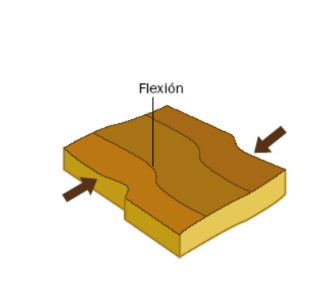 A este movimiento, ¿cómo se le llama? a) Rebote plástico b) Rebote elástico c) Deslizamiento elástico