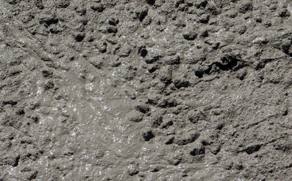 CONCRETO FRESCO Y CONCRETO ENDURECIDO