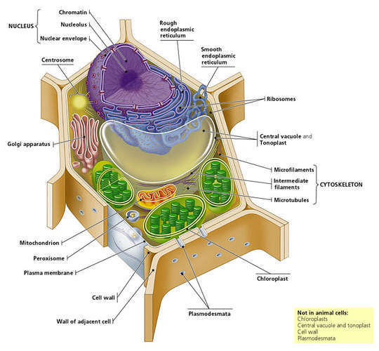 label this diagram