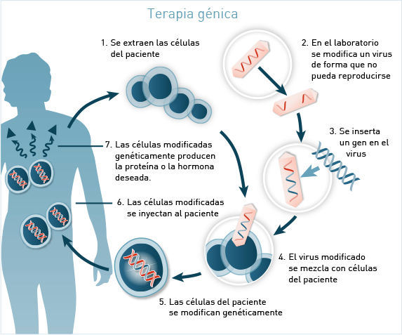 aplicaciones de la genetica en la medicina