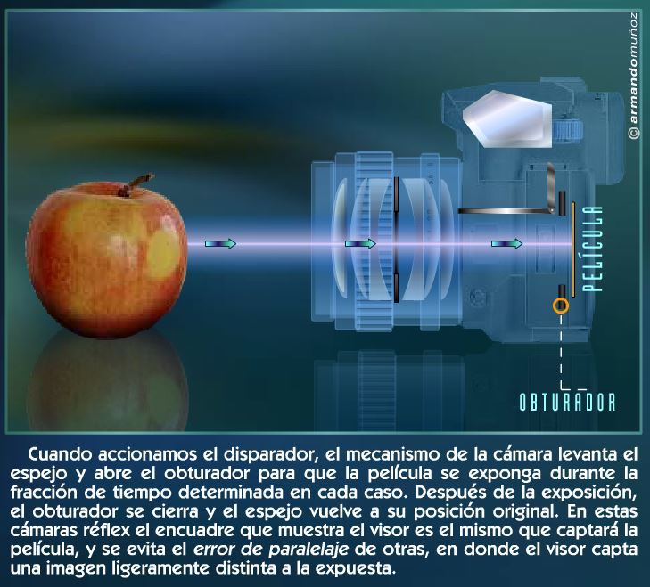 La cámara fotográfica: conceptos básicos