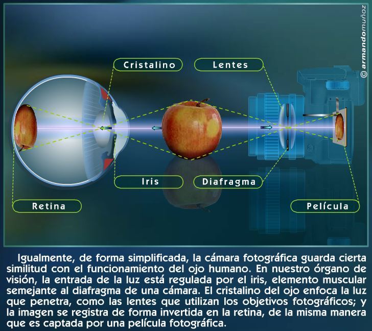 La cámara fotográfica: conceptos básicos