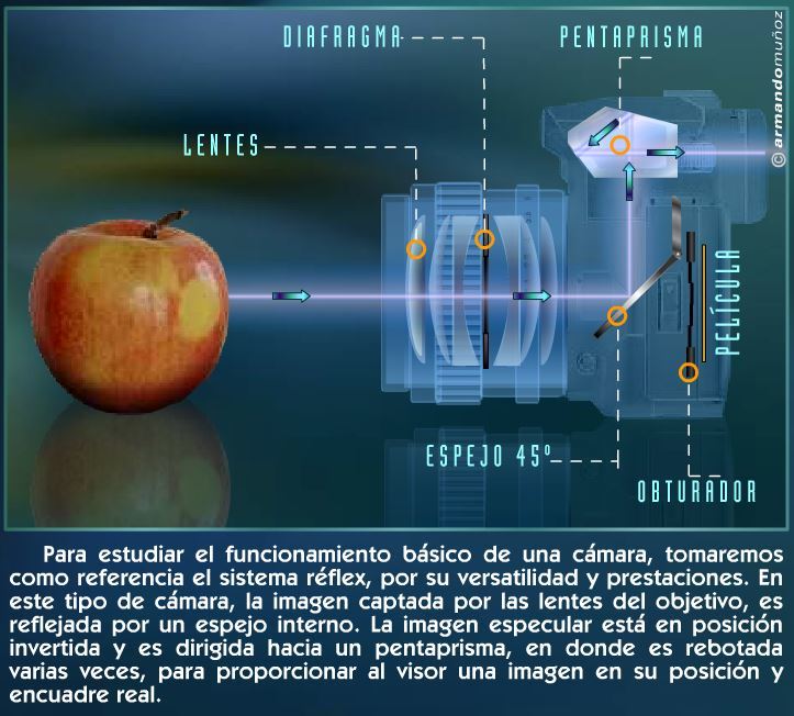 La cámara fotográfica: conceptos básicos