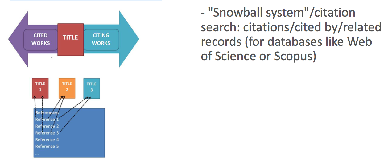 Searching by connecting citations/references