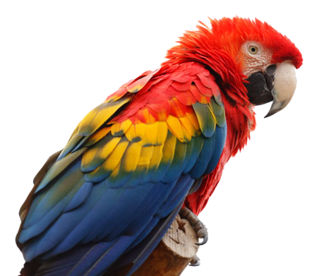 ZONAS DE VIDA EN COSTA RICA Según la clasificación de L.R. Holdridge