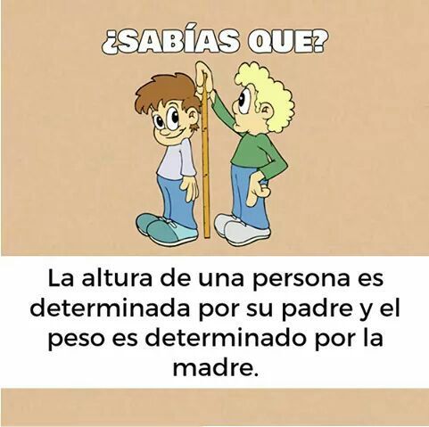 nsnddmmd