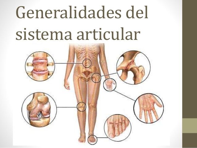 2). a) Articulatorio: Función: Las funciones más importantes de las articulaciones son de constituir puntos de unión entre los componente...