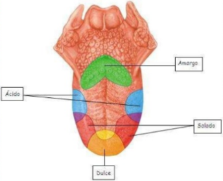 Guía de Temas Selectos de la Salud I