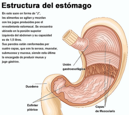 Guía de Temas Selectos de la Salud I