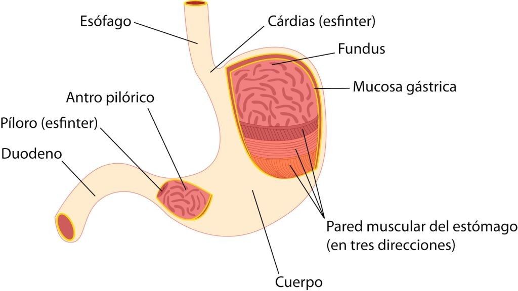 Guía de Temas Selectos de la Salud I
