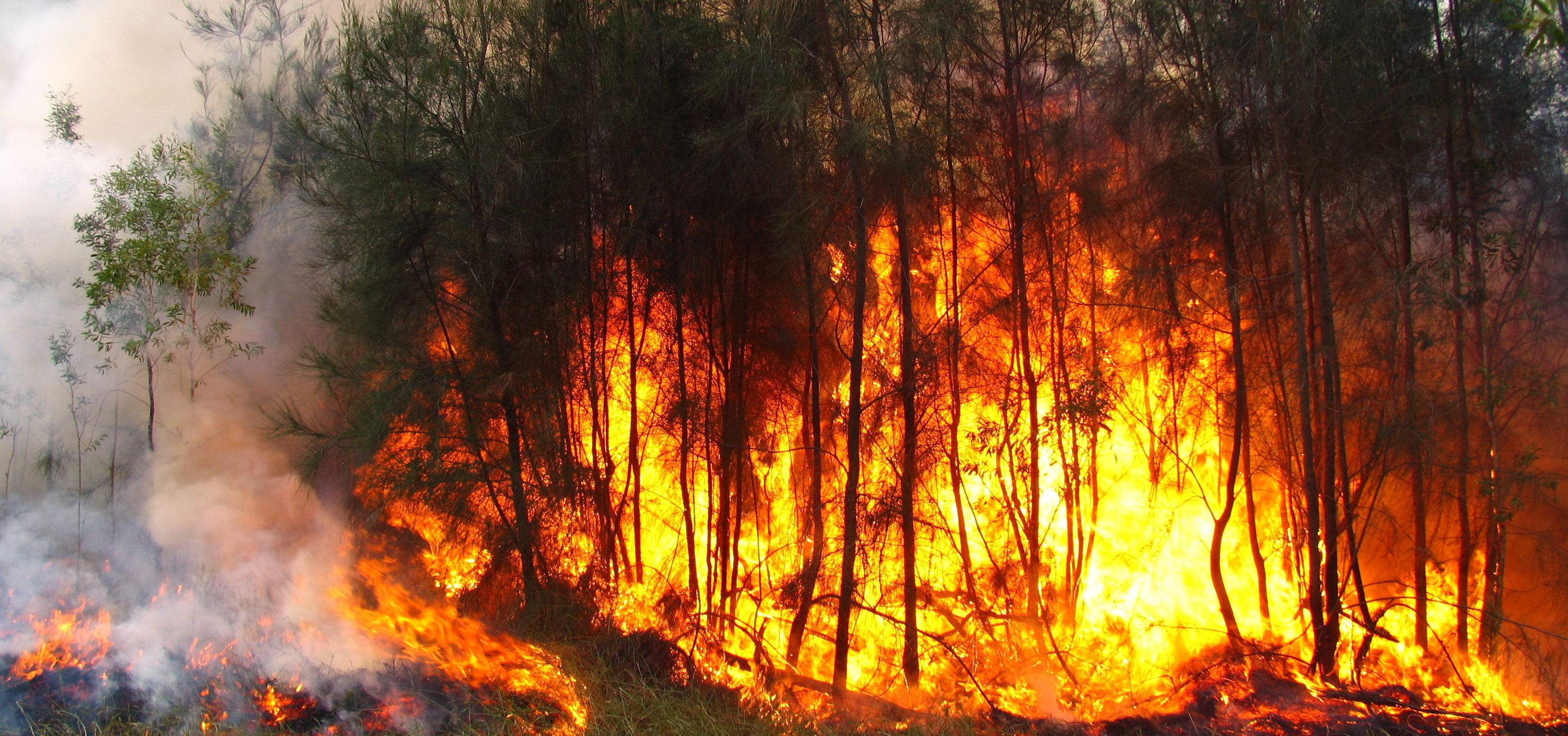 ¿A QUE SE DEBEN LOS INCENDIOS?