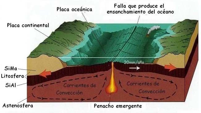 Movimiento Divergente