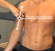 Pliegue bicipital