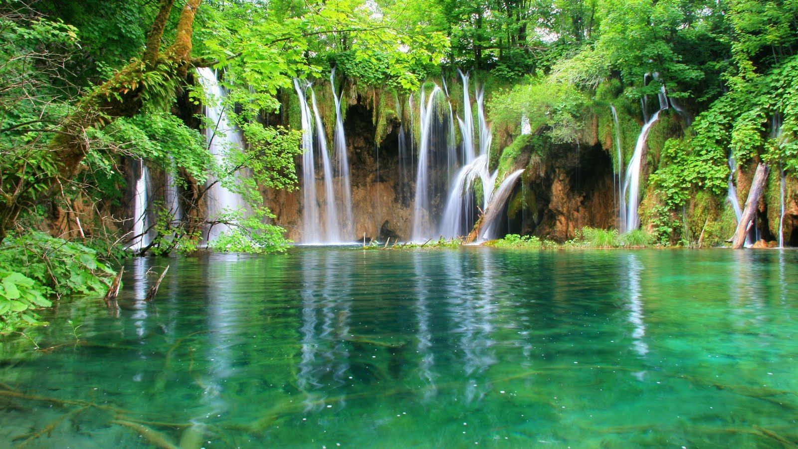 ¿QUE SON LOS PAISAJES NATURALES?