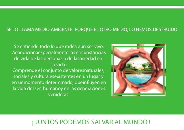 ¿Ah qué se le denomina Medio Ambiente?