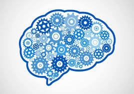 Neuroeducación