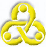 Transdisciplina