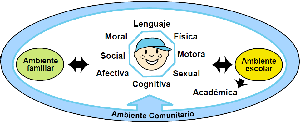 Teorías y modelos de las etapas evolutivas