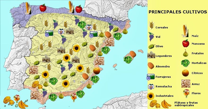 La actividad agropecuaria y forestal en España