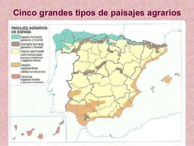 Paisajes agrarios en España