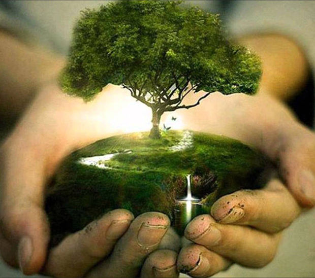 Medio Ambiente