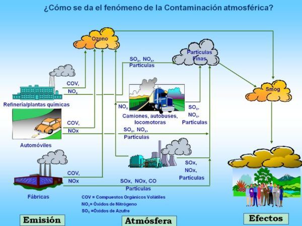 Problemas Medio Ambientales