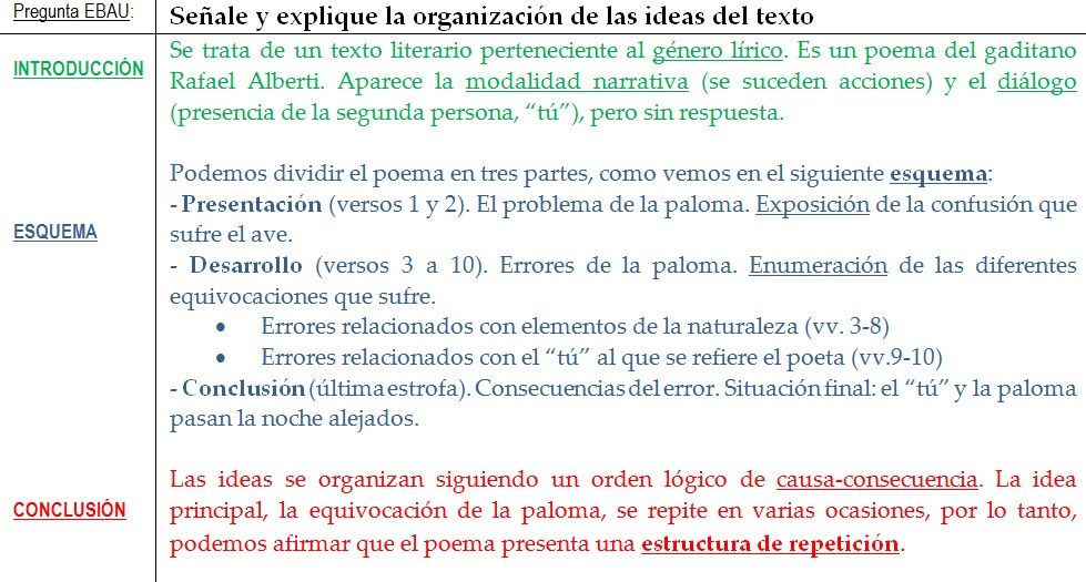Respuesta modelo