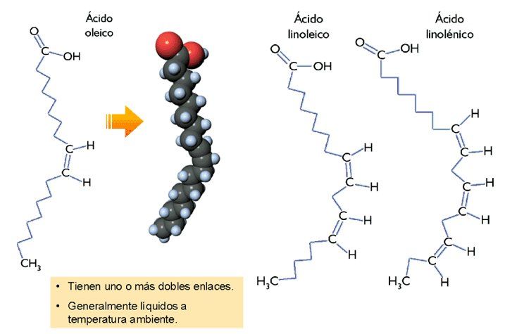 Ácidos grasos insaturados
