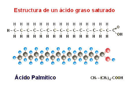 Ácidos grasos saturados