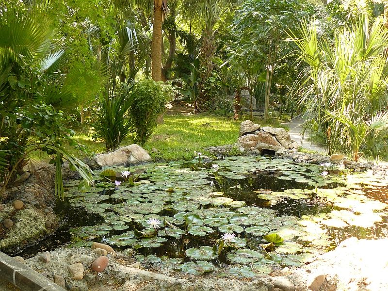 Bosque caducifolio tropical