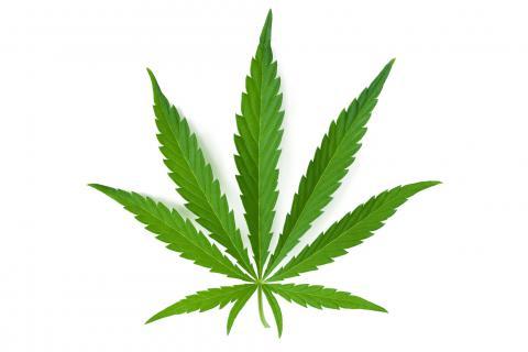 KROKODRIL Esta droga hace que la piel de un adicto se vuelva verde y escamosa y desigual como la de un cocodrilo.