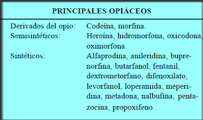Medicamentos prohibidos para pacientes con Disautonomia