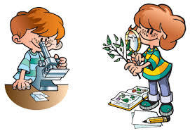 Pilares de Educación y Competencias