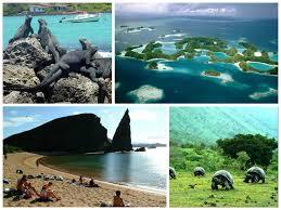ACTIVITIES OF INTEREST FOR LONG AND SHORT HOLIDAYS IN ECUADOR