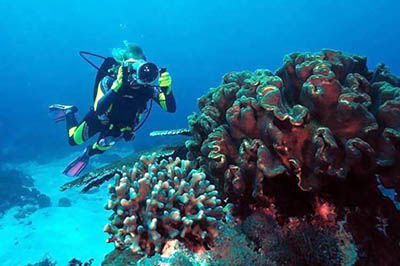 ACTIVITIES OF INTEREST FOR LONG AND SHORT HOLIDAYS IN ECUADOR