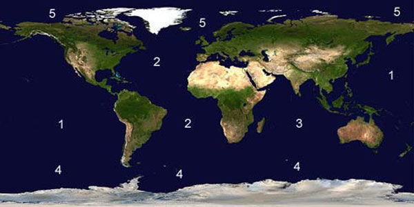 Sitúa en el siguiente mapa los diferentes tipos de Océanos que hay en en planeta: