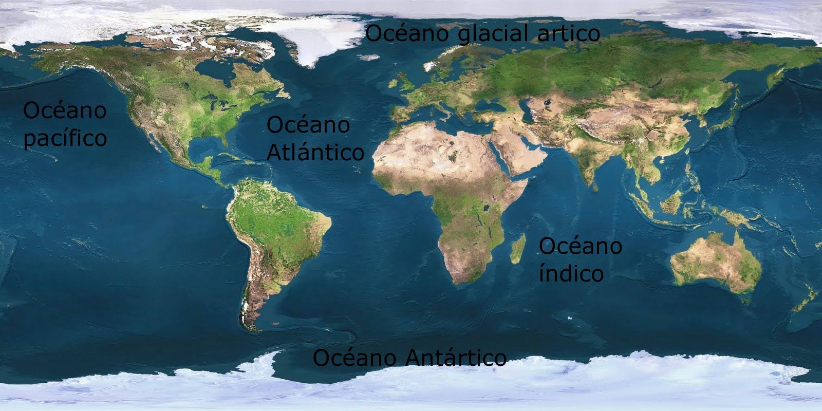 Sitúa en el siguiente mapa los diferentes tipos de Océanos que hay en en planeta: