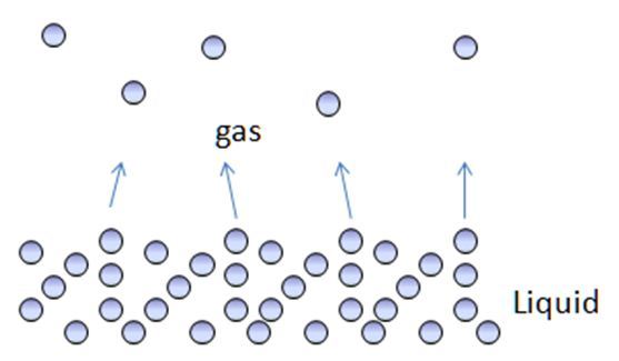 2.What is evaporation?