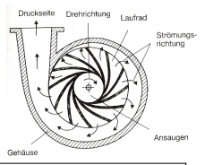 Kreiselpumpe