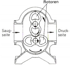 Rootsgebläse/ Drehkolbenverdichter