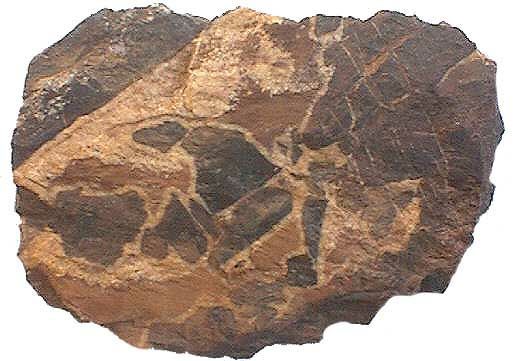 Brekzie