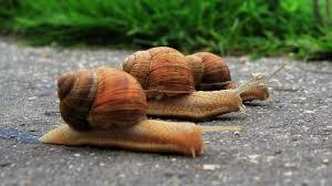 SLOW