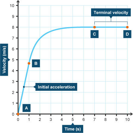 Velocity Time Graph for Terminal Velocity