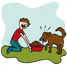 feed an animal