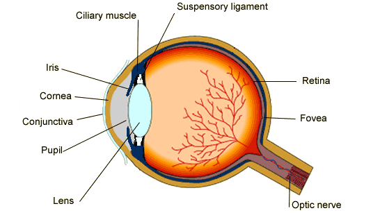 AQA Physics Unit 3