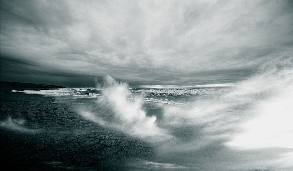 Coastal Processes