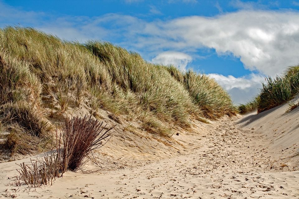 Local Scale Coastal Management