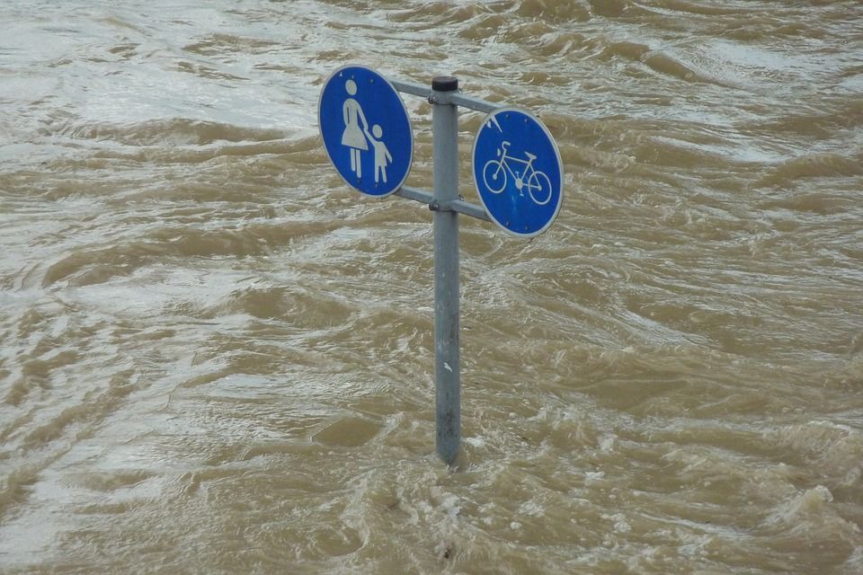 Effects of coastal flooding