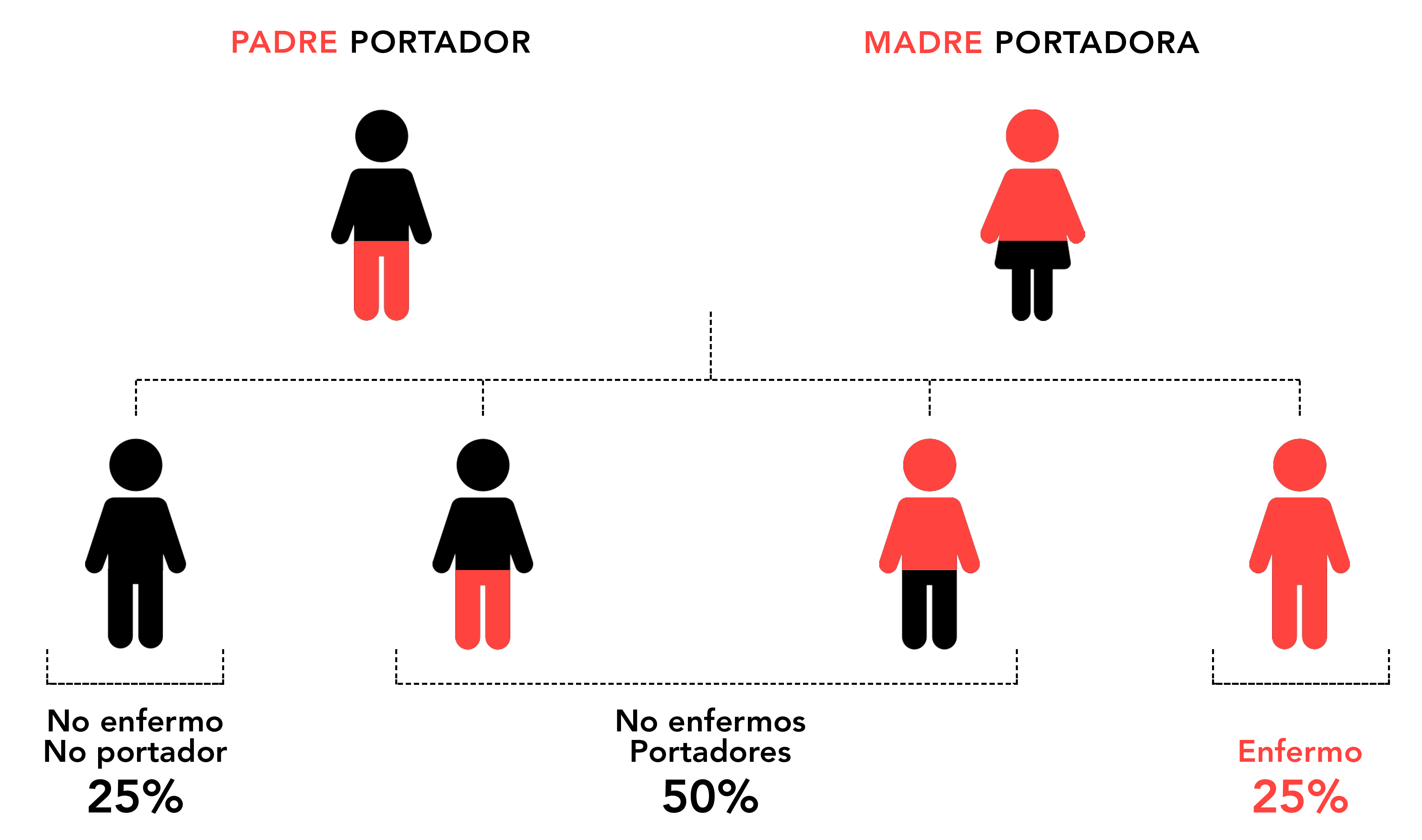 SUBDIVISIONES DE LA GENÉTICA