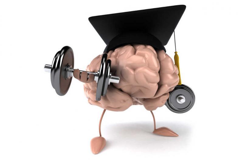learn/aprender